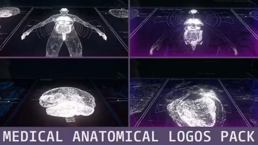 Videohive Medical Anatomical Logos Pack Intro Hd