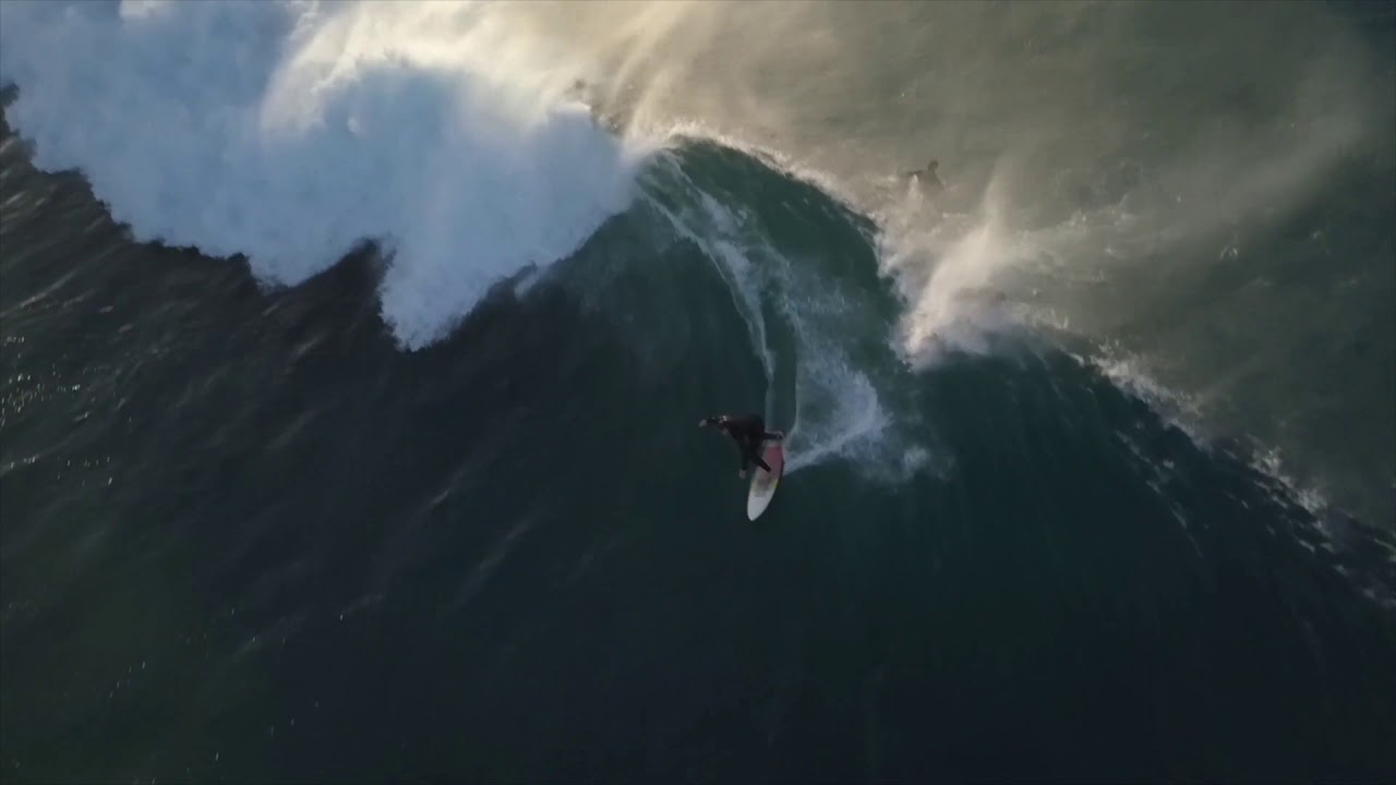 ProfessionalSongs- Sound Effects Bundle - Over 1850 SFX ready to use!