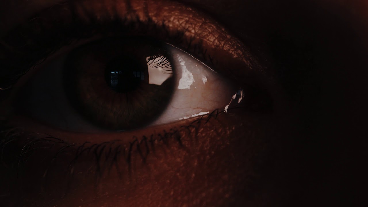 Intensify - Visualsfirst