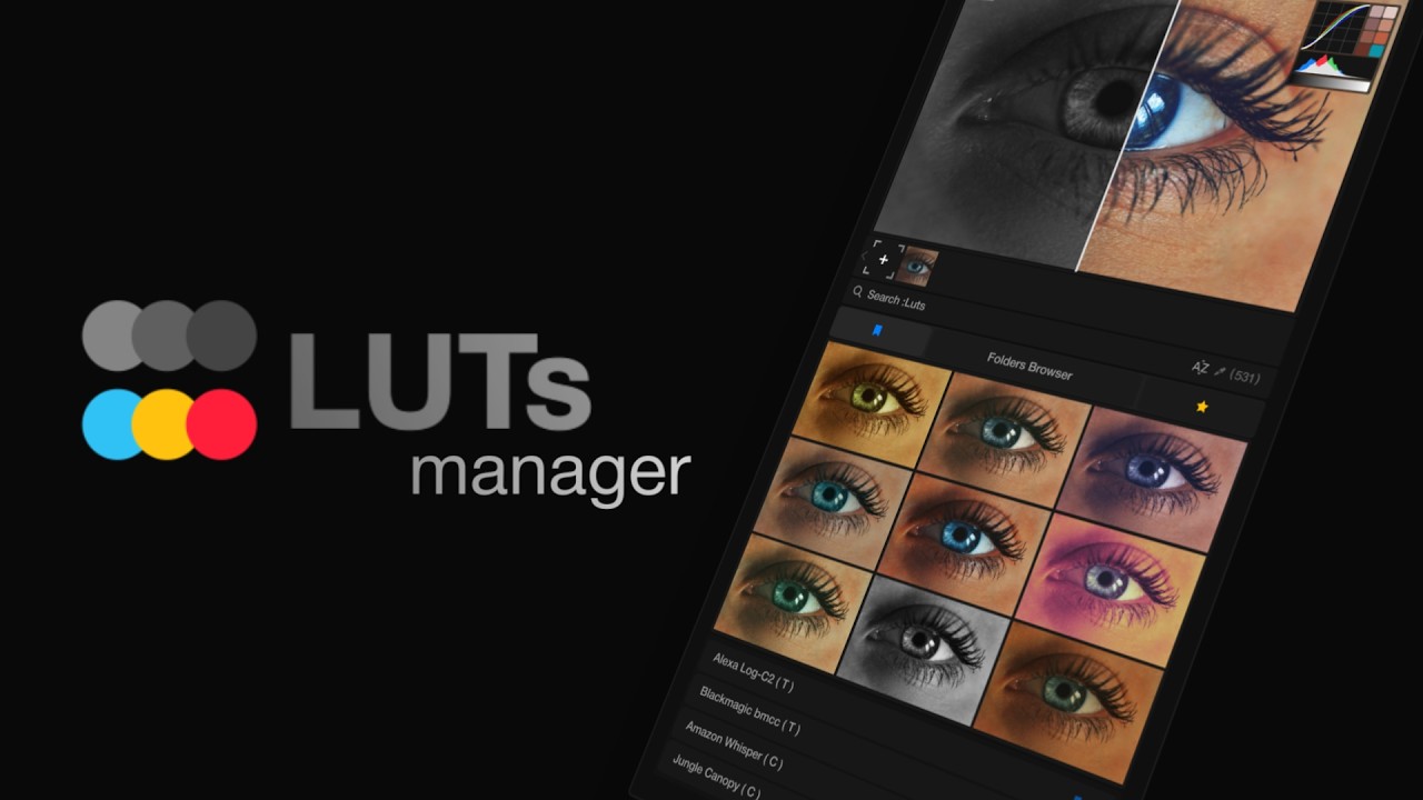 LUTs Manager for Photoshop, Premiere and After Effects