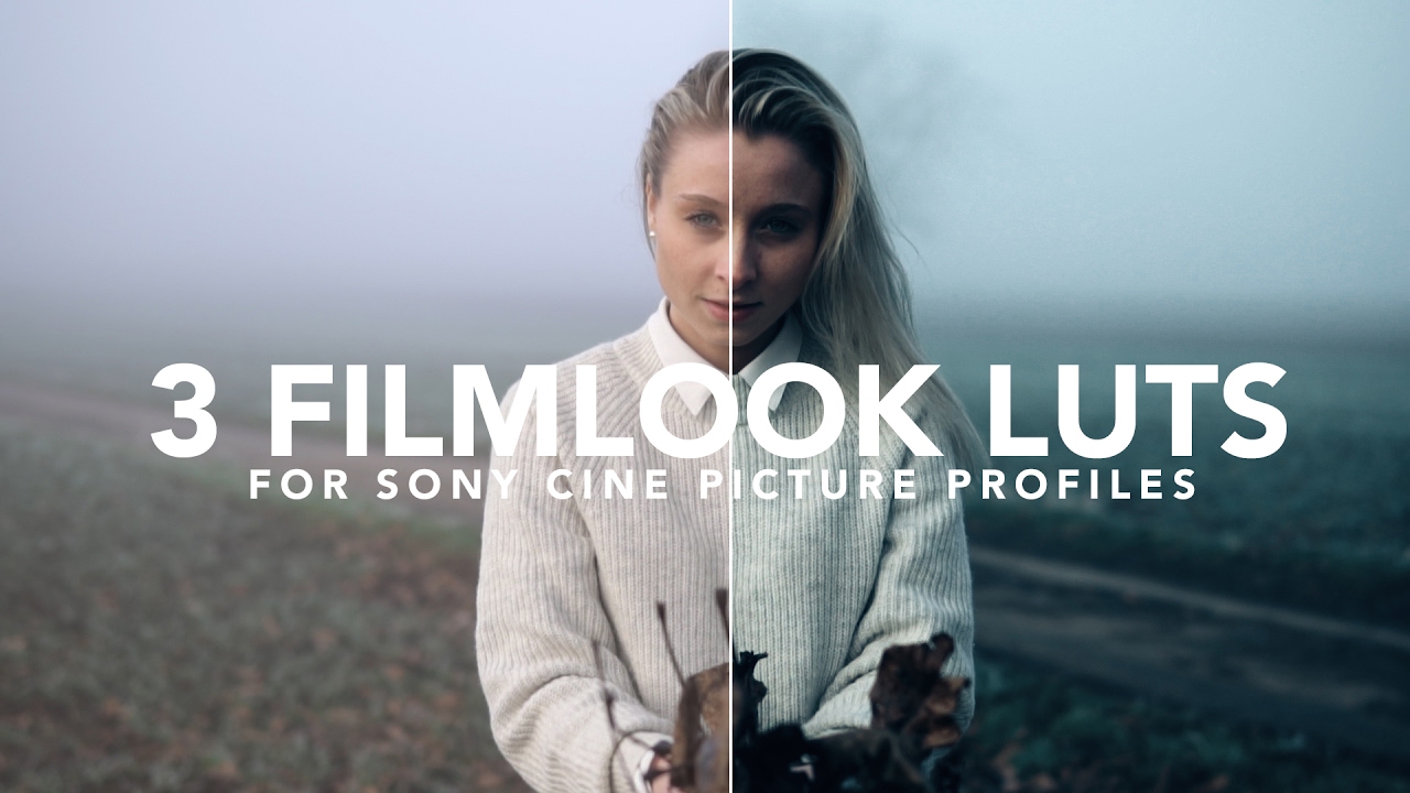 3 Cinematic LUTs for your a6300/a6500/A7S