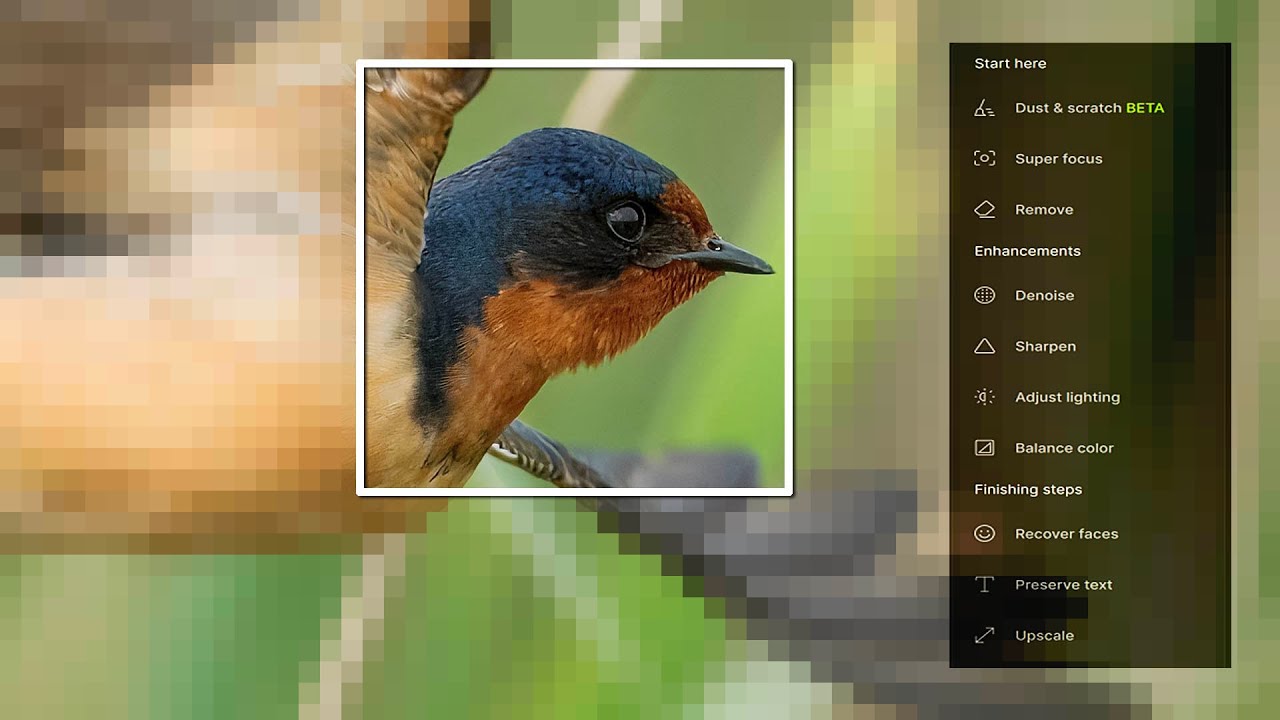 What's NEW in Topaz Photo AI 4