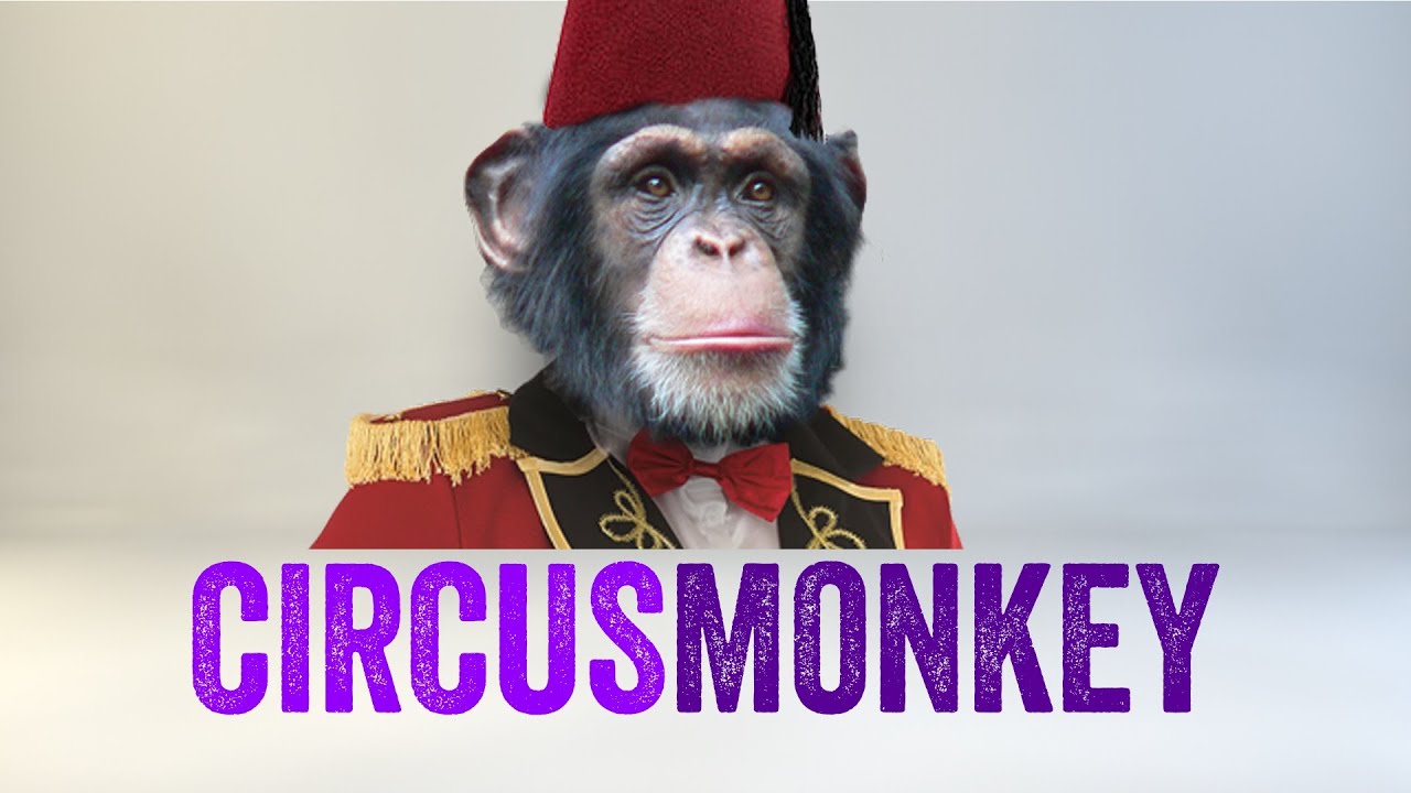 CircusMonkey Promo
