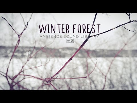 Winter Forest - Ambience Sound Library