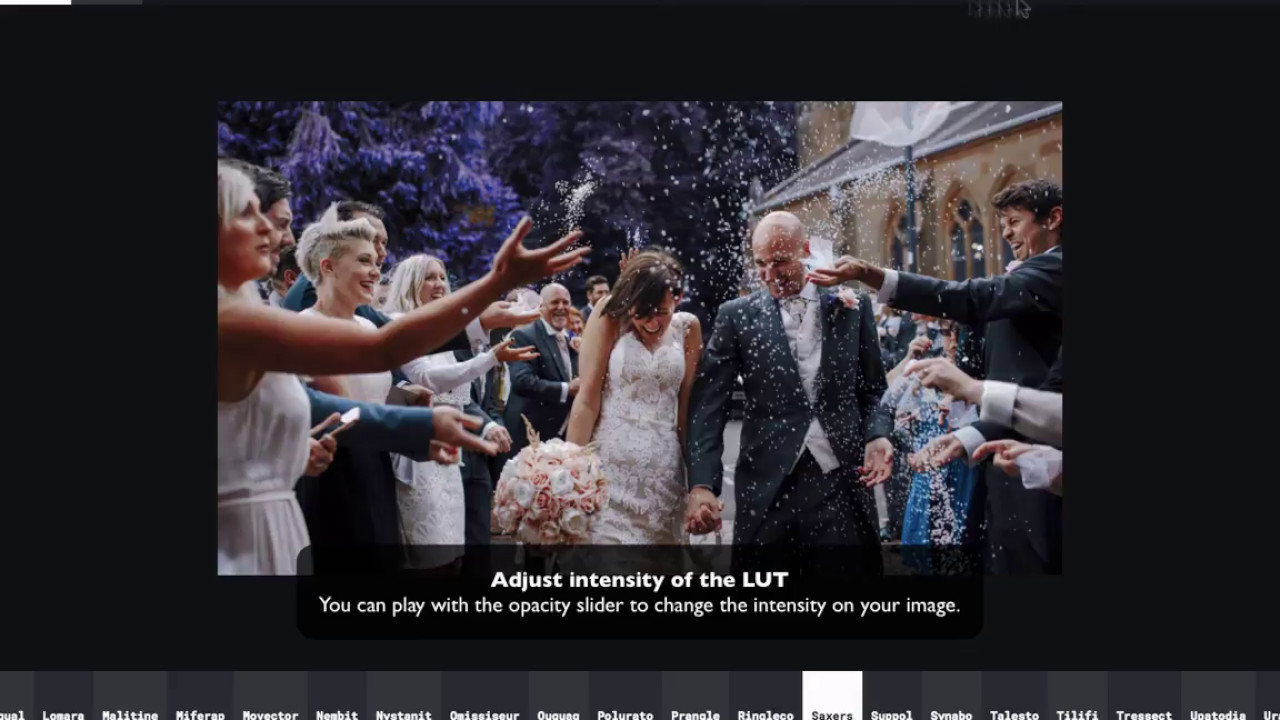 Psychedelia LUTs Previewer demonstration — How to use