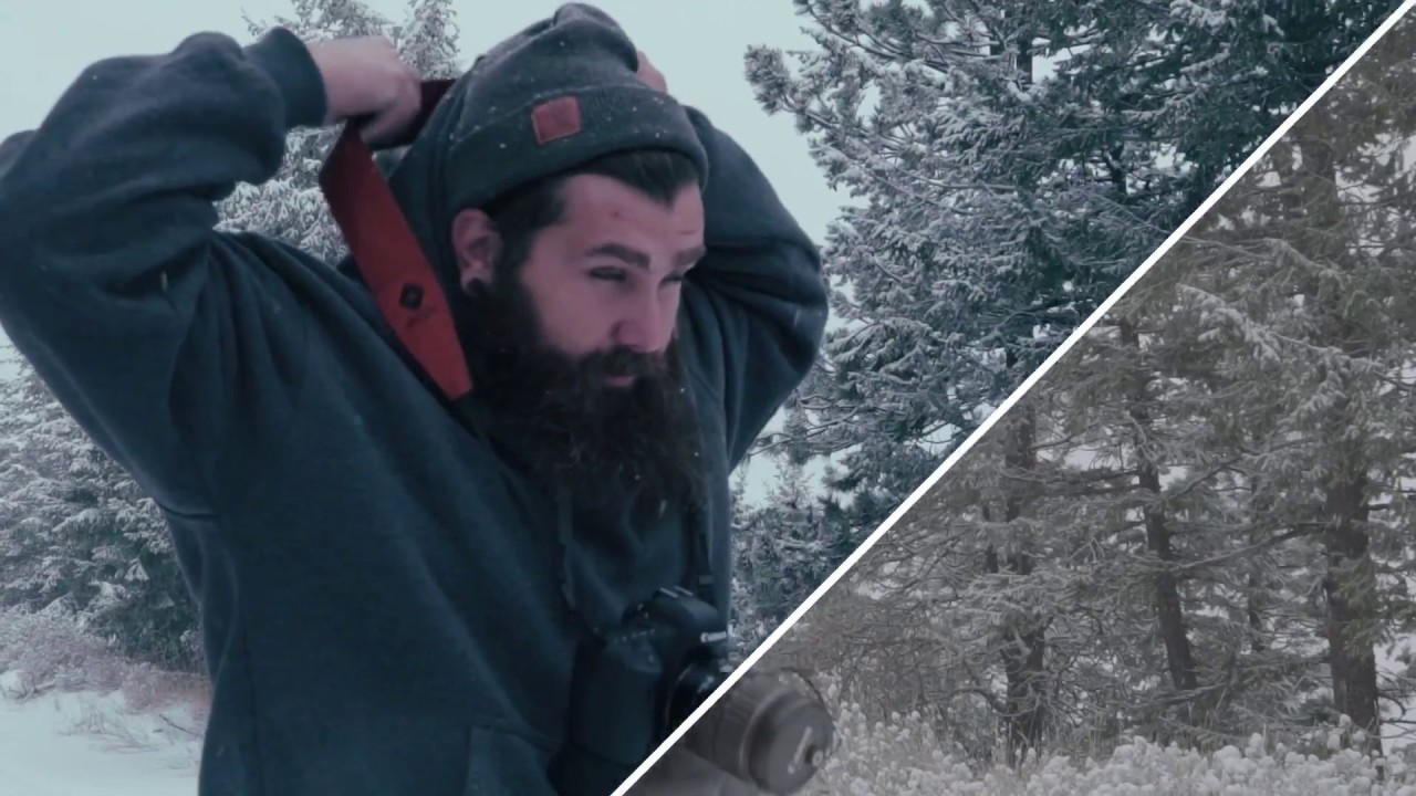 Luts By AOV Film LUTs For Professional Project