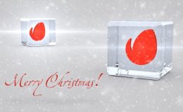 VIDEOHIVE CHRISTMAS GLASSY DICES