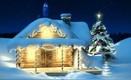 VIDEOHIVE CHRISTMAS AND NEW YEAR WITH BOBBY