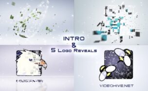 VIDEOHIVE ASSEMBLY LOGO PACK