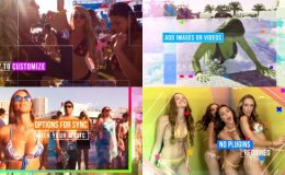 VIDEOHIVE CRAZY PARTY
