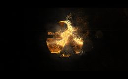 VIDEOHIVE HOT AND GOLD REBORN