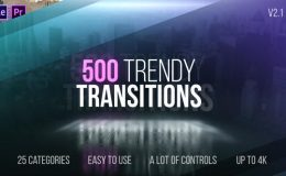 VIDEOHIVE TRANSITIONS 22114911