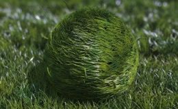 Bouncy Grass Ball Logo Reveal Videohive