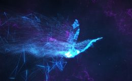 VIDEOHIVE SERENITY | ABSTRACT BIRD REVEAL