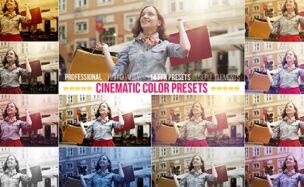 Videohive Cinematic Color Presets
