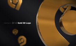 VIDEOHIVE GOLD 3D LOGO OPENER