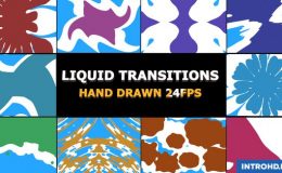 VIDEOHIVE LIQUID TRANSITIONS PACK 22658572