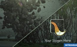 VIDEOHIVE FRACTIONS STORM LOGO