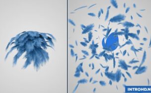VIDEOHIVE FEATHERS LOGO REVEAL