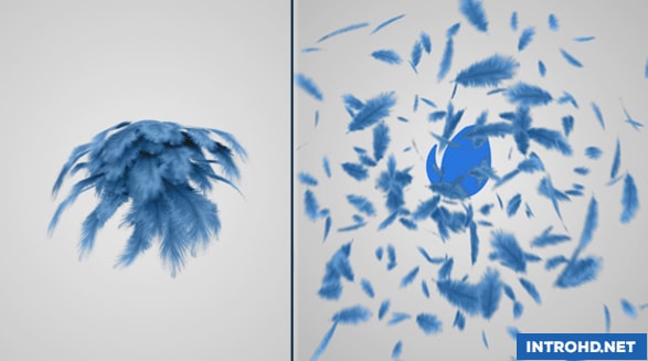 VIDEOHIVE FEATHERS LOGO REVEAL