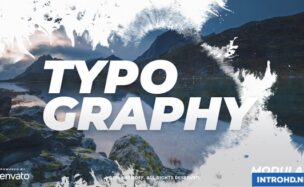 VIDEOHIVE INK TYPOGRAPHY