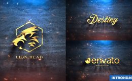 VIDEOHIVE SILVER & GOLD LOGO REVEAL 21422987