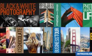VIDEOHIVE GRID SHOW