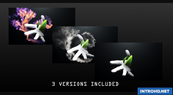 VIDEOHIVE HAND REVEAL