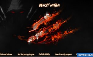 VIDEOHIVE BEAST WITHIN