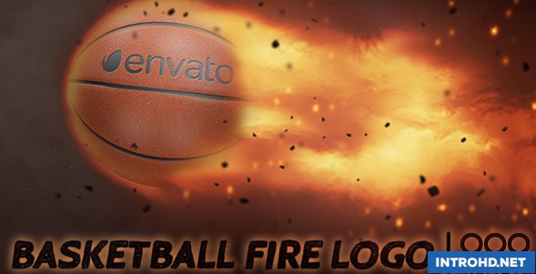 VIDEOHIVE BASKETBALL FIRE LOGO
