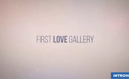 VIDEOHIVE FIRST LOVE GALLERY