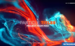 VIDEOHIVE FLU – PARTICLES TITLES