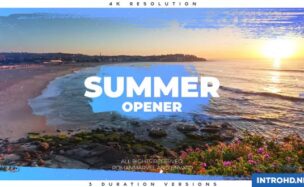 VIDEOHIVE SUMMER OPENER 22177202