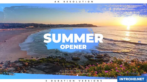 VIDEOHIVE SUMMER OPENER 22177202