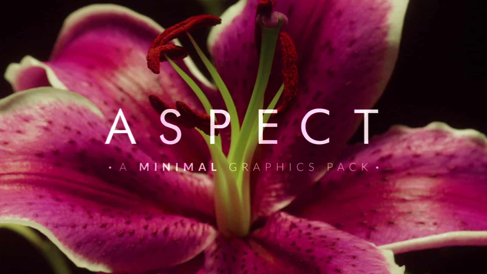 ASPECT MINIMAL GRAPHIC ELEMENTS - (ROCKETSTOCK) preview