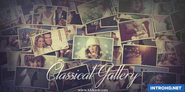 VIDEOHIVE CLASSICAL GALLERY