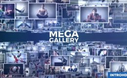 VIDEOHIVE MEGA GALLERY