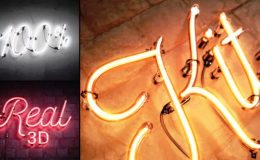 VIDEOHIVE REAL 3D NEON KIT