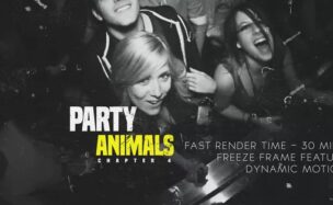 VIDEOHIVE PROJECT PARTY ANIMALS 4