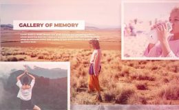VIDEOHIVE GALLERY OF MEMORIES