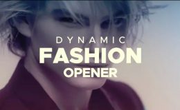 VIDEOHIVE DYNAMIC FASHION OPENER