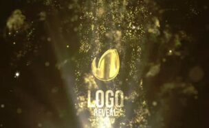VIDEOHIVE FLUID GOLD LOGO REVEAL
