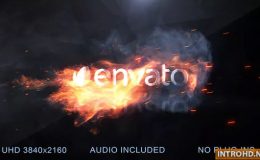 VIDEOHIVE FLAME LOGO REVEAL