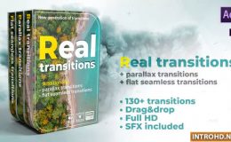 VIDEOHIVE REAL TRANSITIONS