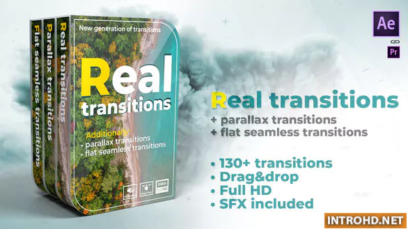 VIDEOHIVE REAL TRANSITIONS