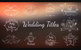 VIDEOHIVE WEDDING/ROMANTIC TITLES