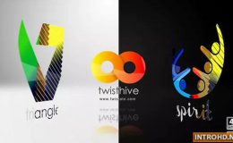 VIDEOHIVE SIMPLE LOGO REVEAL 1