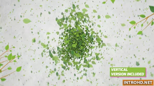 Green Eco Logo Reveal Videohive