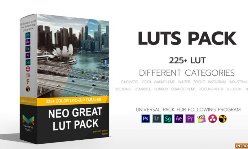 NEO GREAT LUTS – 225+ LUTS – Motion Array