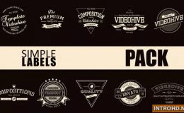 VIDEOHIVE SIMPLE LABEL PACK